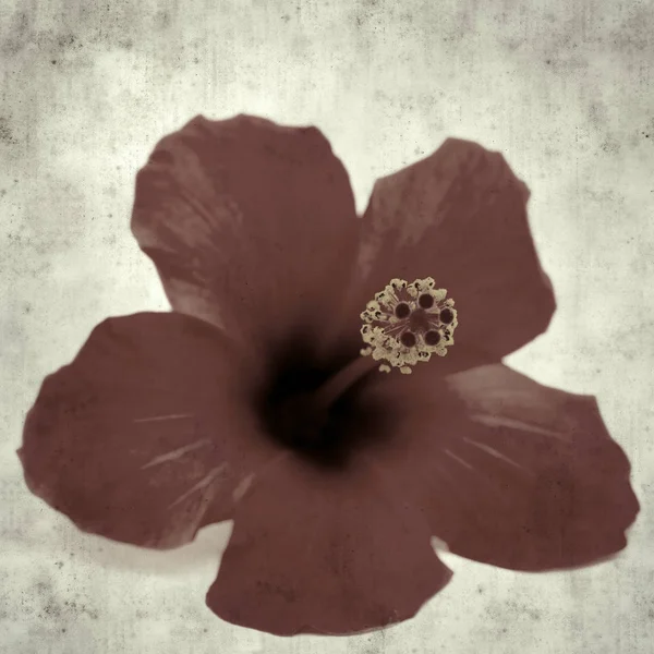  Eski kağıt arkaplan