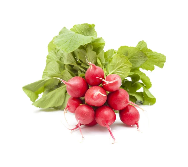 Bunch of radish — Stock Photo, Image