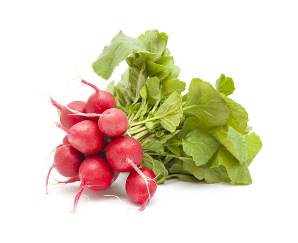 Bunch of radish — Stock Photo, Image