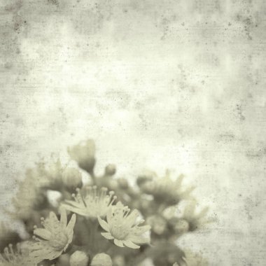  Eski kağıt arkaplan