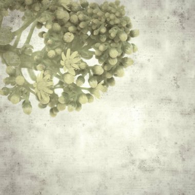  Eski kağıt arkaplan