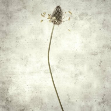  Eski kağıt arkaplan