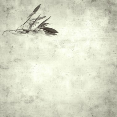  Eski kağıt arkaplan