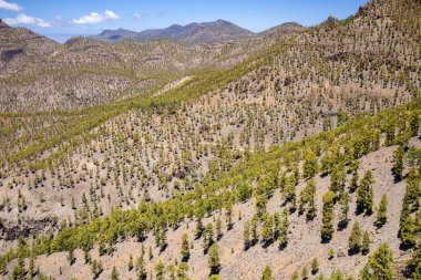 Gran Canaria, Pilancones Doğal Parkı