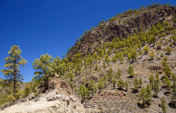 Gran canaria, pilancones naturpark — Stockfoto