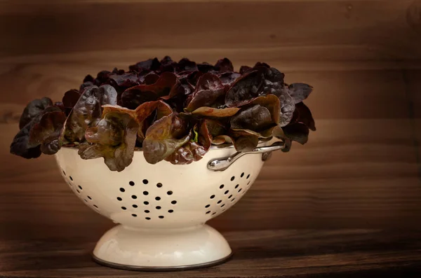 Салат из красного листа в дуршлаге — стоковое фото