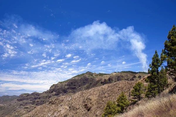 Las Cumbres kontrollü yanık — Stok fotoğraf