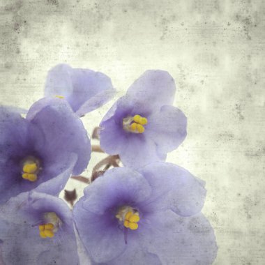  Eski kağıt arkaplan