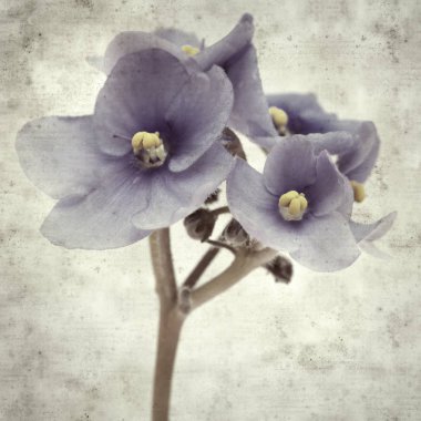  Eski kağıt arkaplan