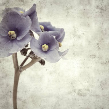  Eski kağıt arkaplan