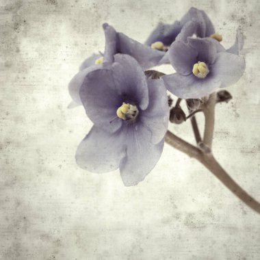  Eski kağıt arkaplan