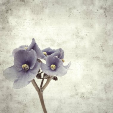  Eski kağıt arkaplan