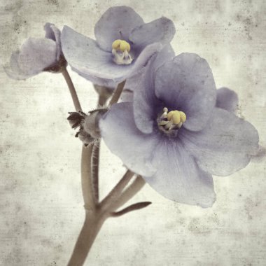  Eski kağıt arkaplan