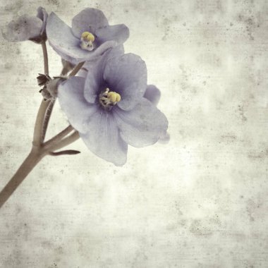  Eski kağıt arkaplan