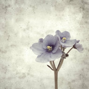  Eski kağıt arkaplan