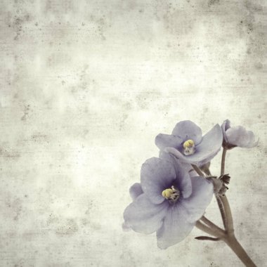  Eski kağıt arkaplan