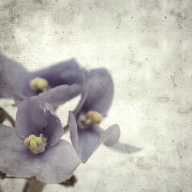  Eski kağıt arkaplan