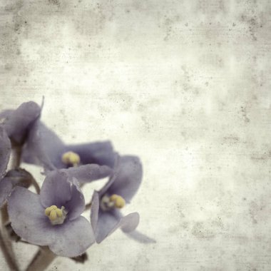  Eski kağıt arkaplan