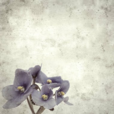  Eski kağıt arkaplan