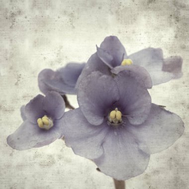  Eski kağıt arkaplan