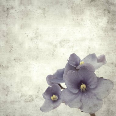  Eski kağıt arkaplan