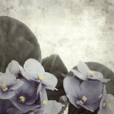  Eski kağıt arkaplan