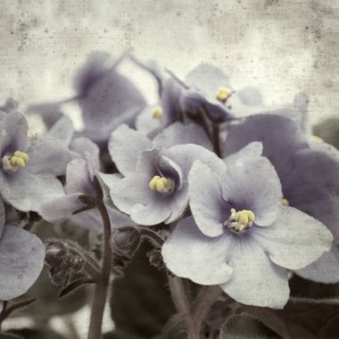  Eski kağıt arkaplan