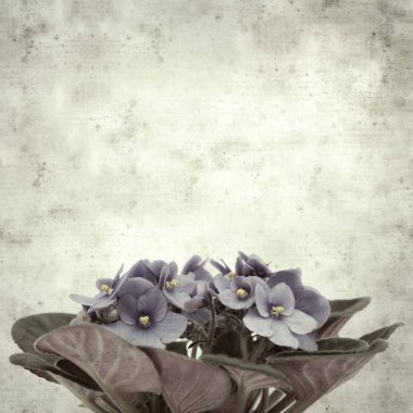  Eski kağıt arkaplan