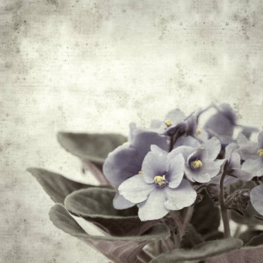  Eski kağıt arkaplan