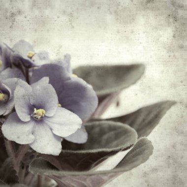  Eski kağıt arkaplan