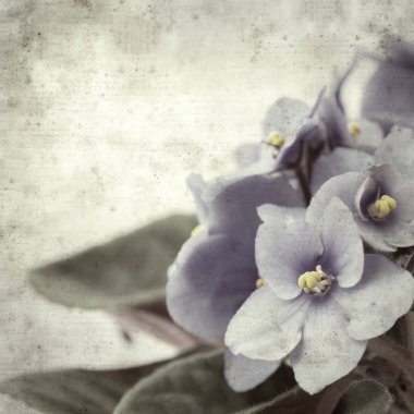  Eski kağıt arkaplan