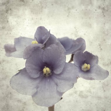  Eski kağıt arkaplan