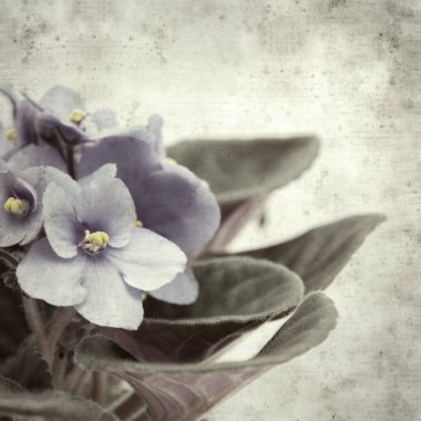  Eski kağıt arkaplan