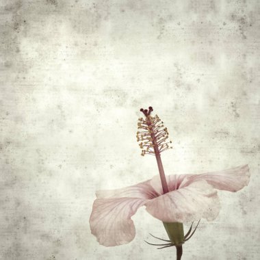  Eski kağıt arkaplan