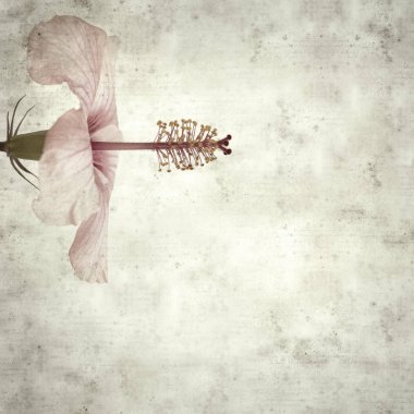  Eski kağıt arkaplan