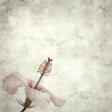  Eski kağıt arkaplan