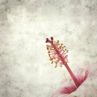  Eski kağıt arkaplan