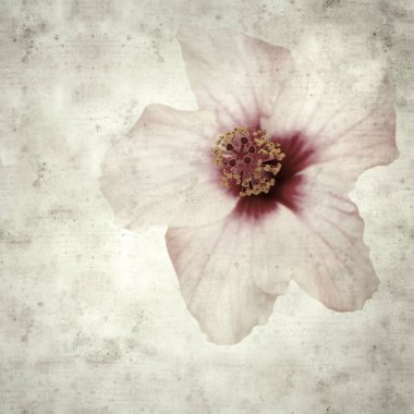  Eski kağıt arkaplan