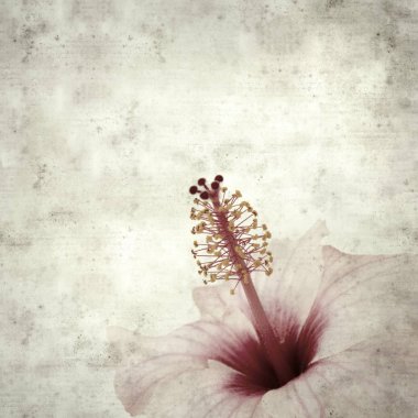  Eski kağıt arkaplan