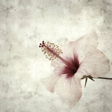  Eski kağıt arkaplan