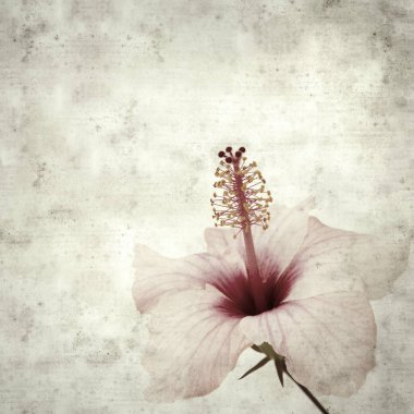  Eski kağıt arkaplan