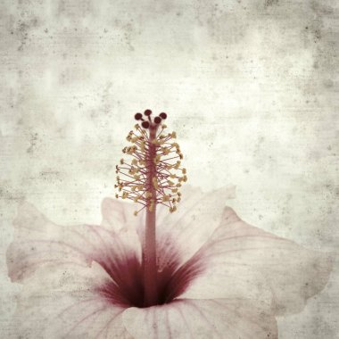  Eski kağıt arkaplan