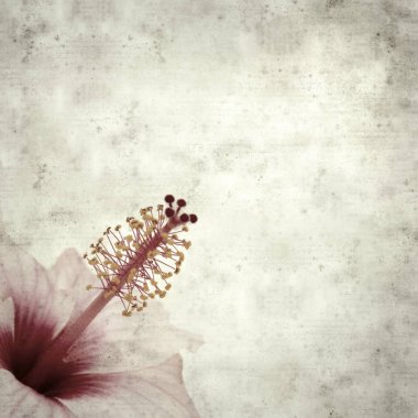  Eski kağıt arkaplan