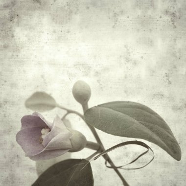  Eski kağıt arkaplan