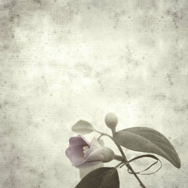  Eski kağıt arkaplan