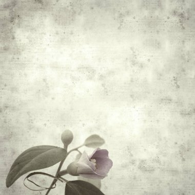  Eski kağıt arkaplan