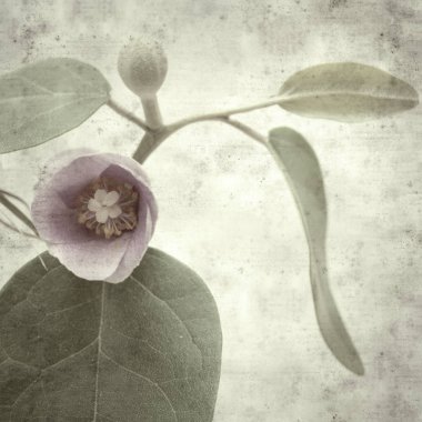  Eski kağıt arkaplan