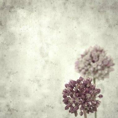  Eski kağıt arkaplan