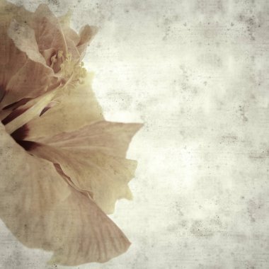  Eski kağıt arkaplan