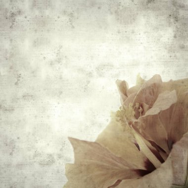  Eski kağıt arkaplan